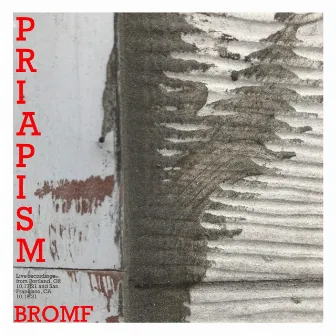 Priapism (Live) by Bromf