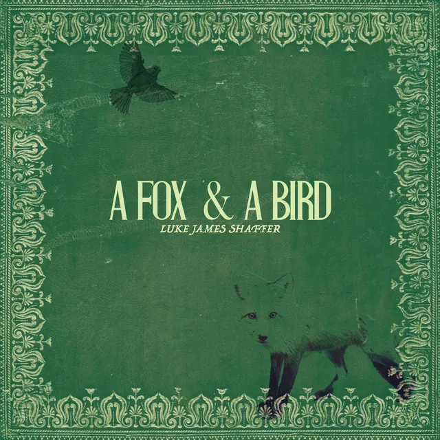 A Fox & A Bird