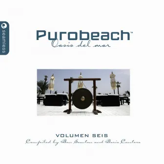 Purobeach Volumen Seis by Unknown Artist