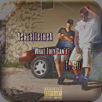 What They Can't by Ryan T Go