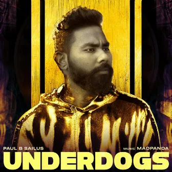 Underdogs by Paul B Sailus