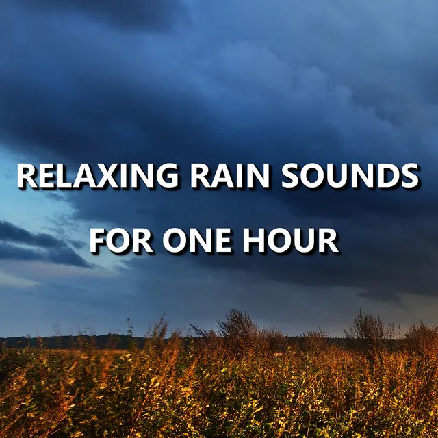 Relaxing Rain Sounds for One Hour