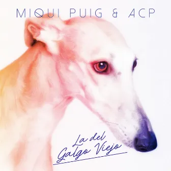 La del galgo viejo by ACP