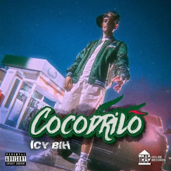 Cocodrilo by n€o