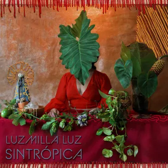 Sintrópica by Luzmilla Luz