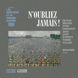 N'oubliez jamais ! (Les musiciens et la Grande Guerre, Vol. 33) by Sylvain Heili