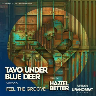 Feel The Groove by Blue Deer