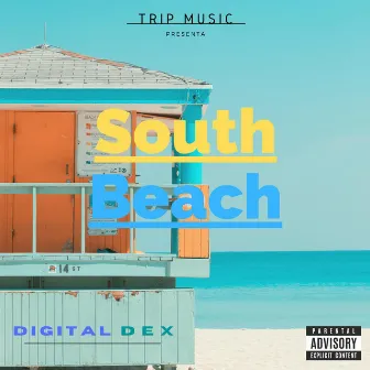 South Beach by Digital Dex