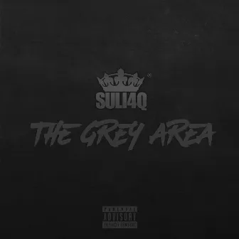 The Grey Area - Single by Suli4Q