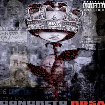 Concreto Rosa by The King