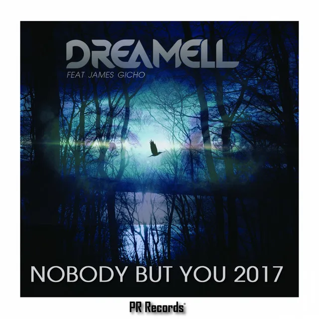 Nobody But You 2017 - Patrik Remann Radio