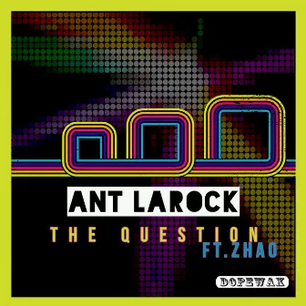 The Question by ANT LaROCK