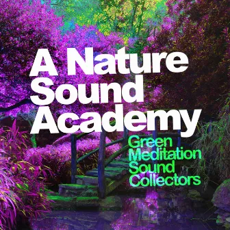 A Nature Sound Academy by Unknown Artist