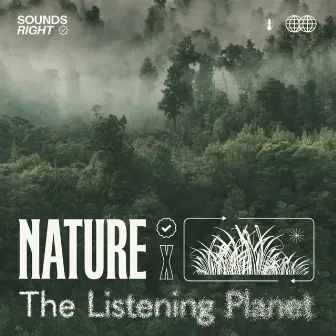 Rainforest Rhythms by The Listening Planet