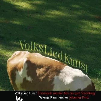 VolksLiedKunst by Vienna Chamber Choir