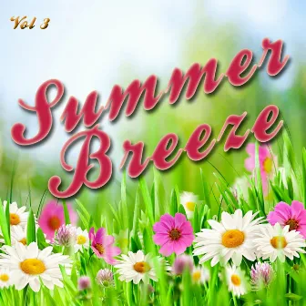 Summer Breeze, Vol. 3 by SoundSense