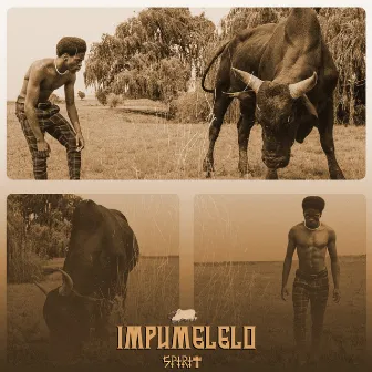 Impumelelo by spirit