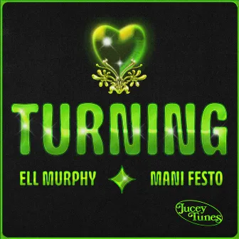 Turning by Ell Murphy