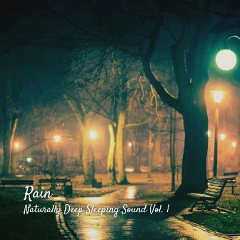 Rain: Naturally Deep Sleeping Sound Vol. 1 by Be Relaxed White Noise