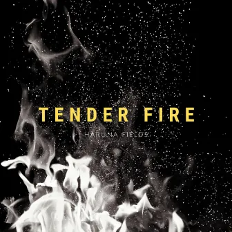 Tender Fire by Haruna Fields