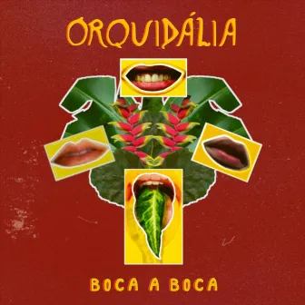 Boca a Boca by Orquidália