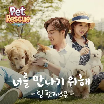 Petrescue by Roy Kim