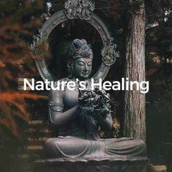 Nature's Healing (a Harmonic Journey) by HD Nature Sound Library