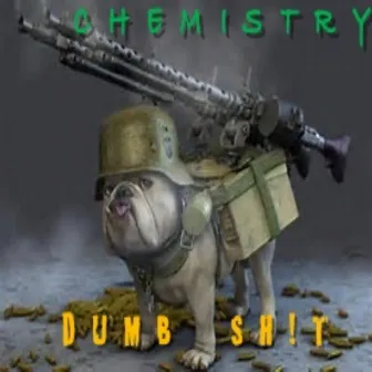 Dumb Sh!t by Chemistry