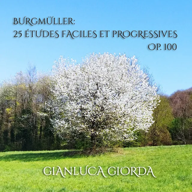 Burgmüller: 25 Études faciles et progressives, Op. 100