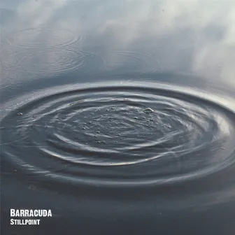 Stillpoint by Barracuda