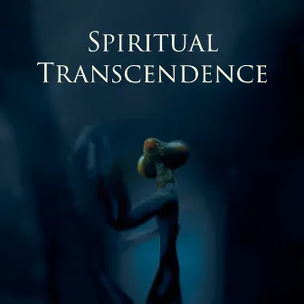 Spiritual Transcendence: Journey into Blissfulness with Nature by Heaven on Earth Instrumental Universe