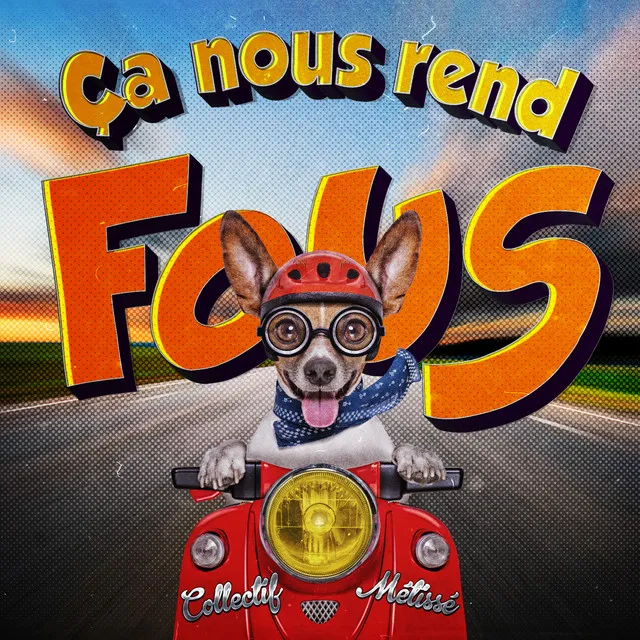 Ça nous rend fous - Steed Watt Remix