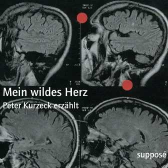 Mein wildes Herz (Peter Kurzeck erzählt) by Peter Kurzeck