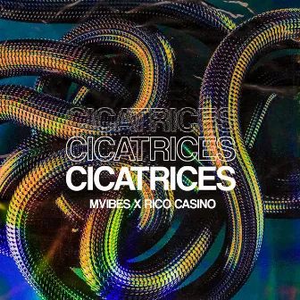 Cicatrices by Mvibes