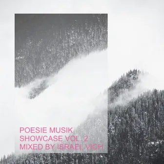 Poesie Musik Showcase, Vol. 2 - Mixed by Israel Vich by Israel Vich