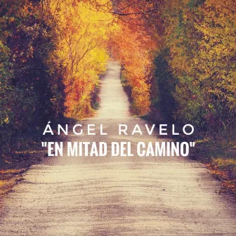 En Mitad del Camino by Ángel Ravelo