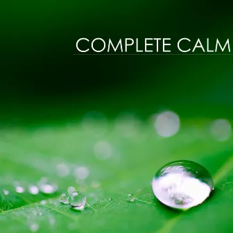 Complete Calm: Extremely Calming & Relaxing Piano Music for Relaxation Meditation and Stress Relief by Calm Music Ensemble