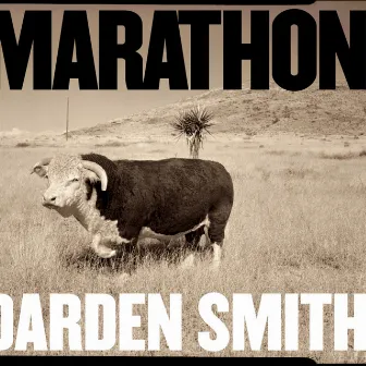 Marathon by Darden Smith