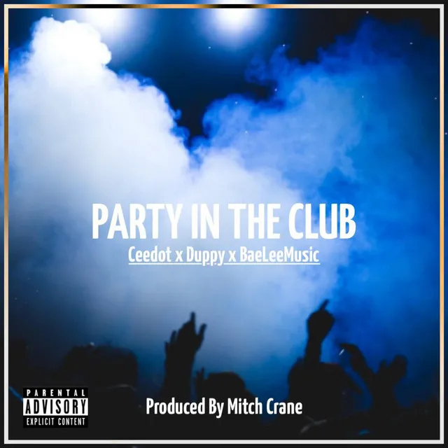 Party In The Club