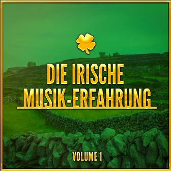 Die Irische Musik-Erfahrung, Vol. 1 (Eine Auswahl traditioneller Musik aus Irland) by 