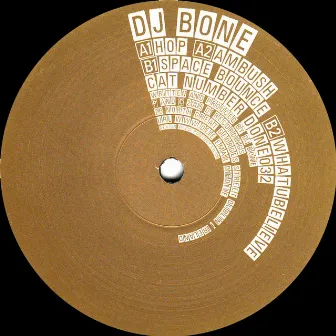 Whatubelieve by DJ Bone