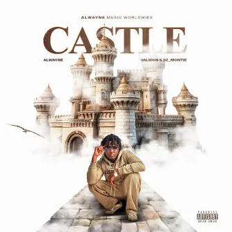 Castle by Alwayne