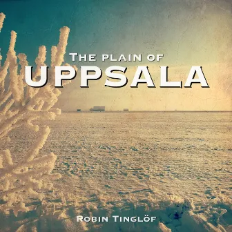 The plain of Uppsala by Robin Tinglöf