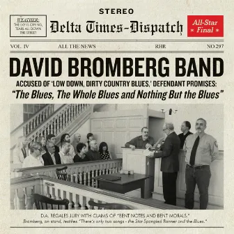 The Blues, The Whole Blues and Nothing But the Blues by David Bromberg