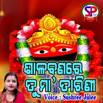 Salabana Re Tu Maa Tarinee (Odia) by 