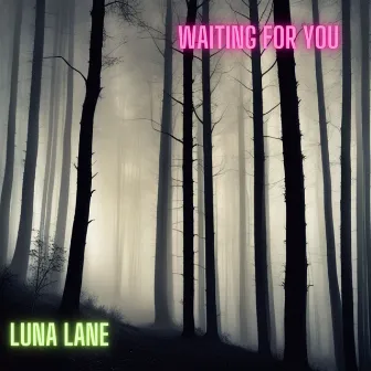 Waiting for You by Luna Lane