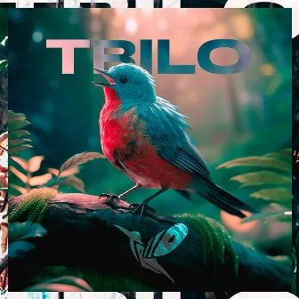 Trilo by Trilo