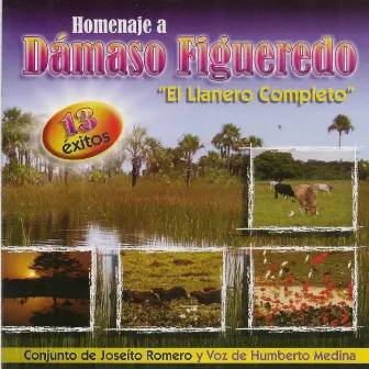 Homenaje a Dámaso Figueredo: El Llanero Completo by Joseito Romero