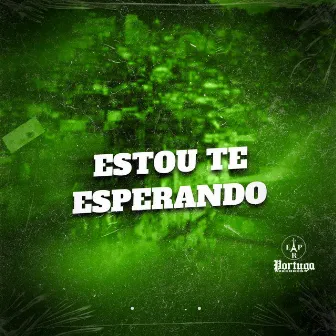 ESTOU TE ESPERANDO by MC PEPE