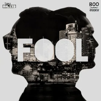 Fool by Boo Seeka